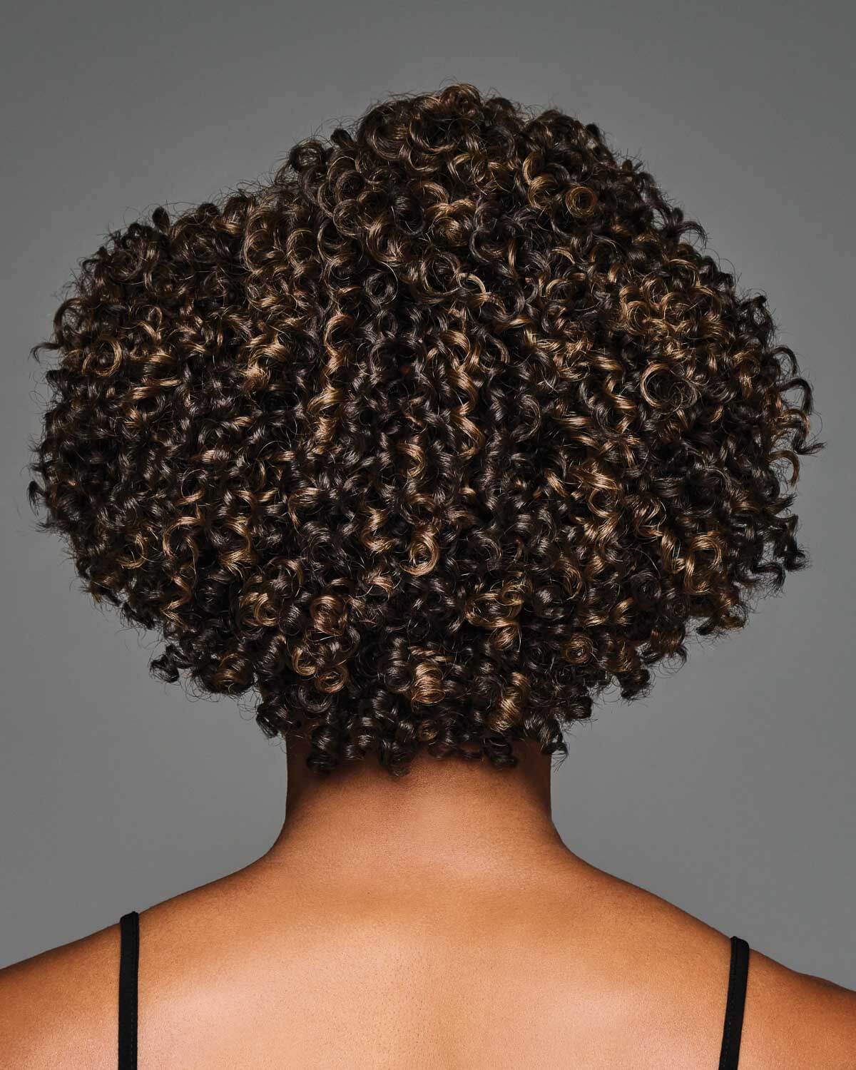 Aniyah Wig by Kim Kimble | Natural & Curly - By Laura Mayers