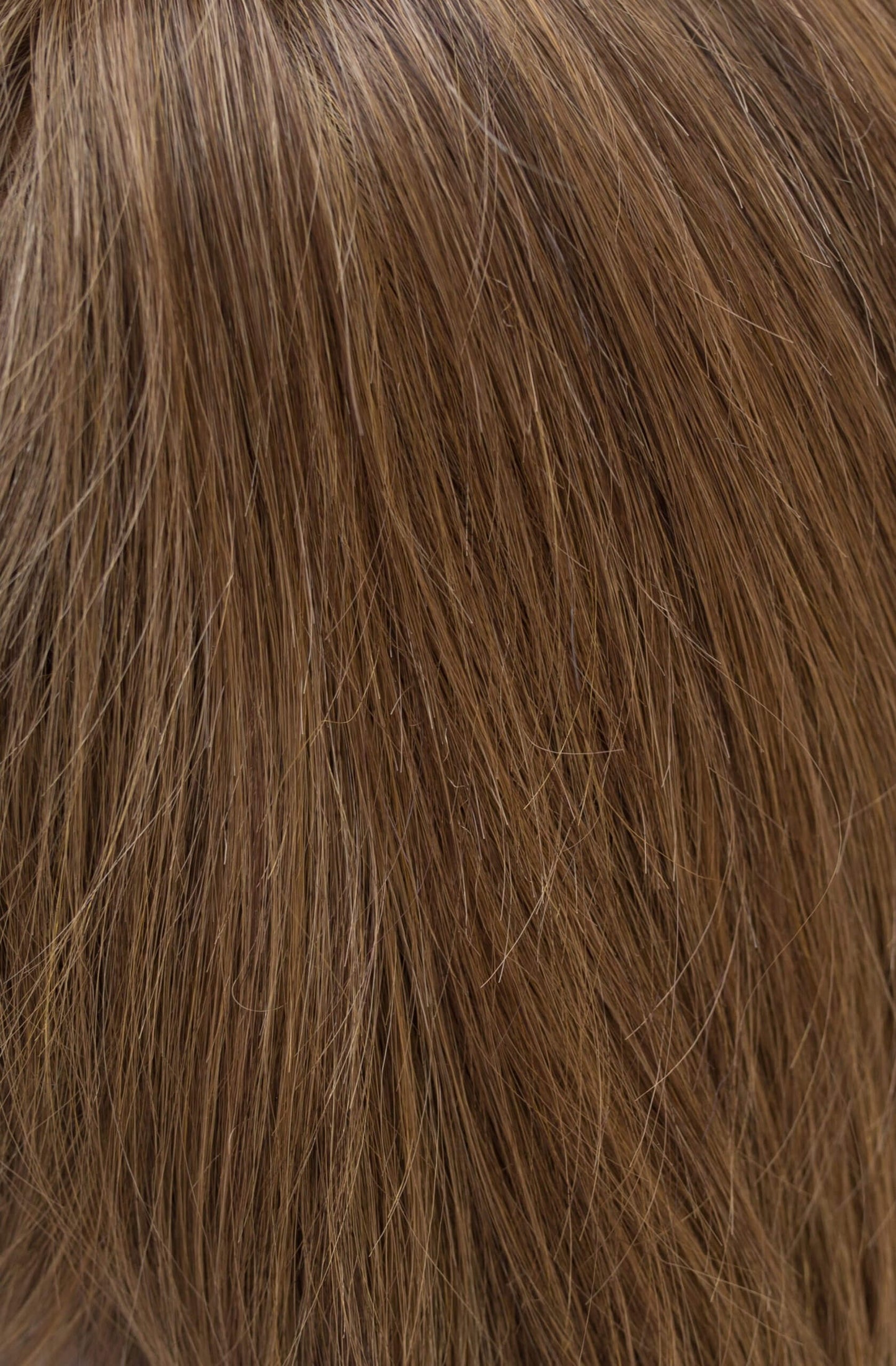 Breezy Wig by Rene of Paris | Muse Collection | Chic & Trendy Style" - By Laura Mayers