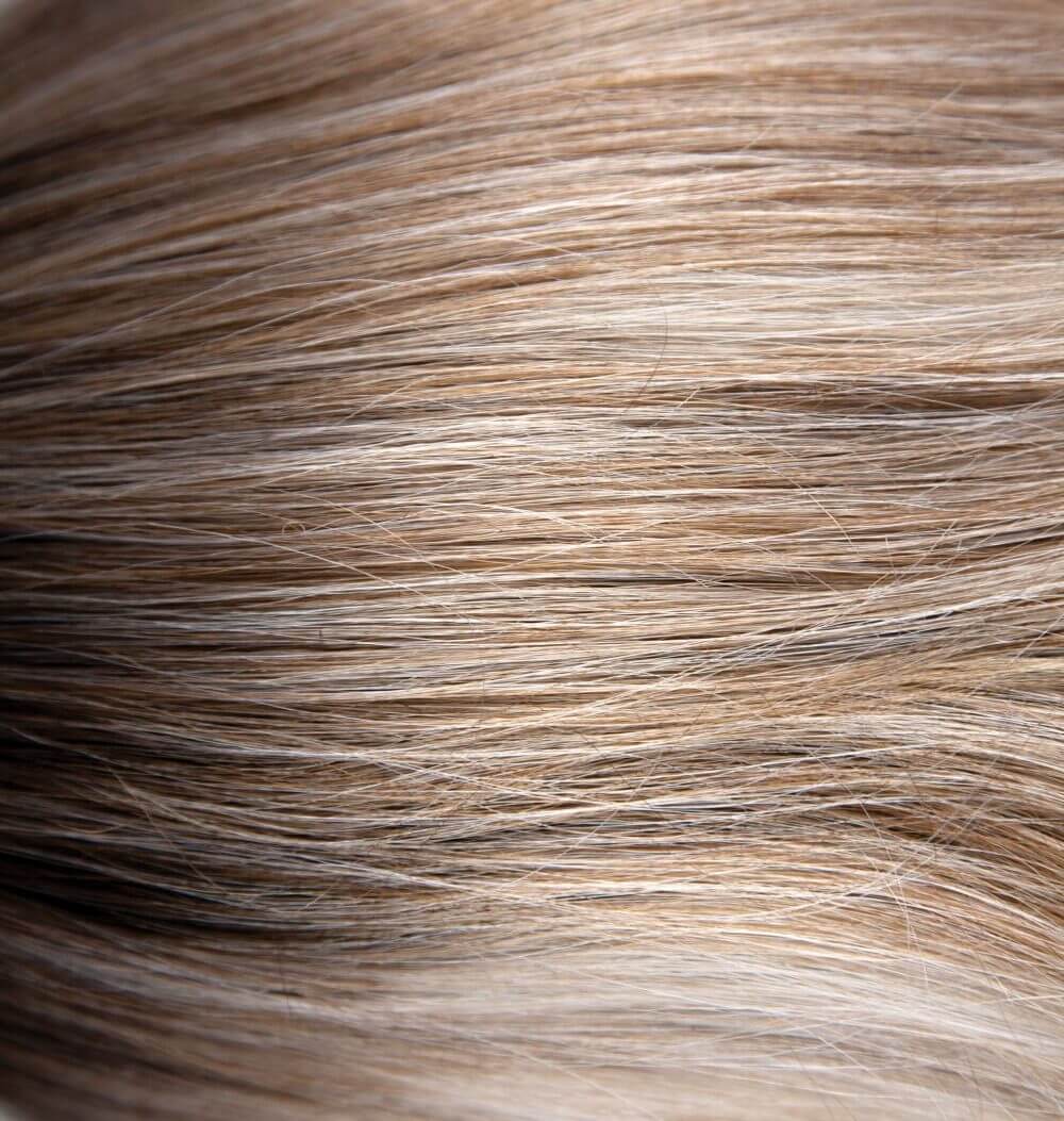 Reed Wig by Amore Collection | Sleek & Trendy - By Laura Mayers